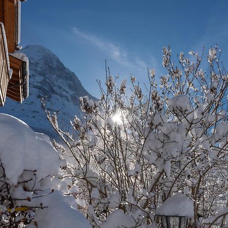 Chalet Alia And Apartments-Grindelwald By Swiss Hotel Apartments Exterior photo