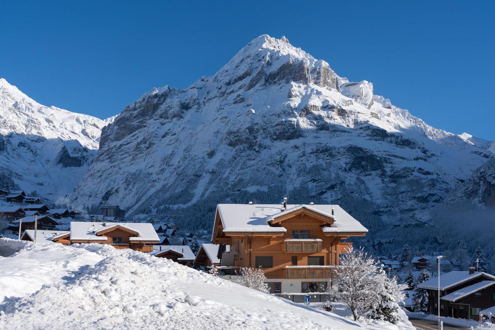 Chalet Alia And Apartments-Grindelwald By Swiss Hotel Apartments Exterior photo