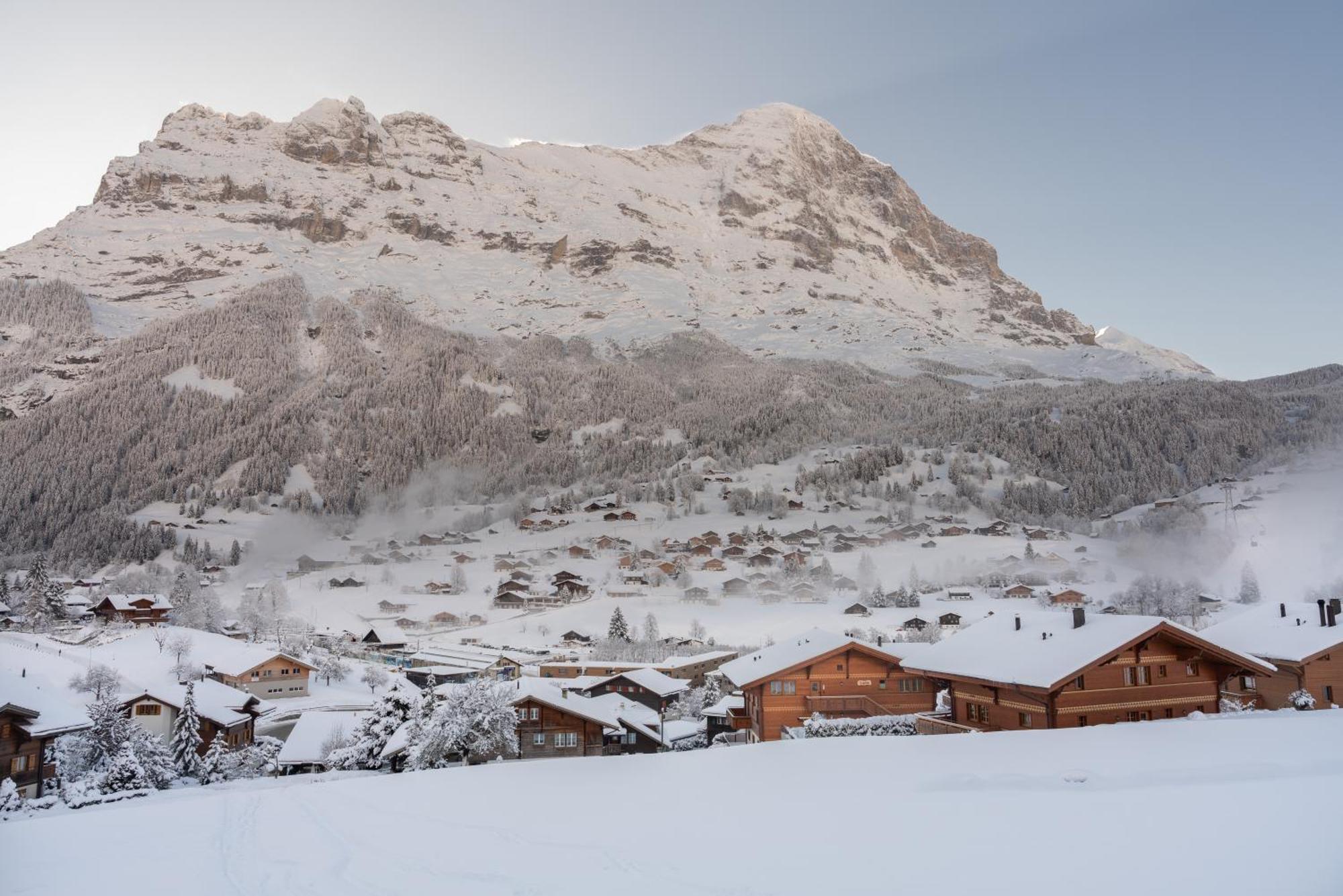 Chalet Alia And Apartments-Grindelwald By Swiss Hotel Apartments Exterior photo