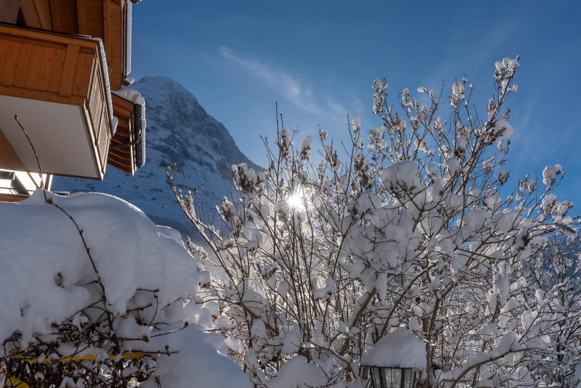 Chalet Alia And Apartments-Grindelwald By Swiss Hotel Apartments Exterior photo