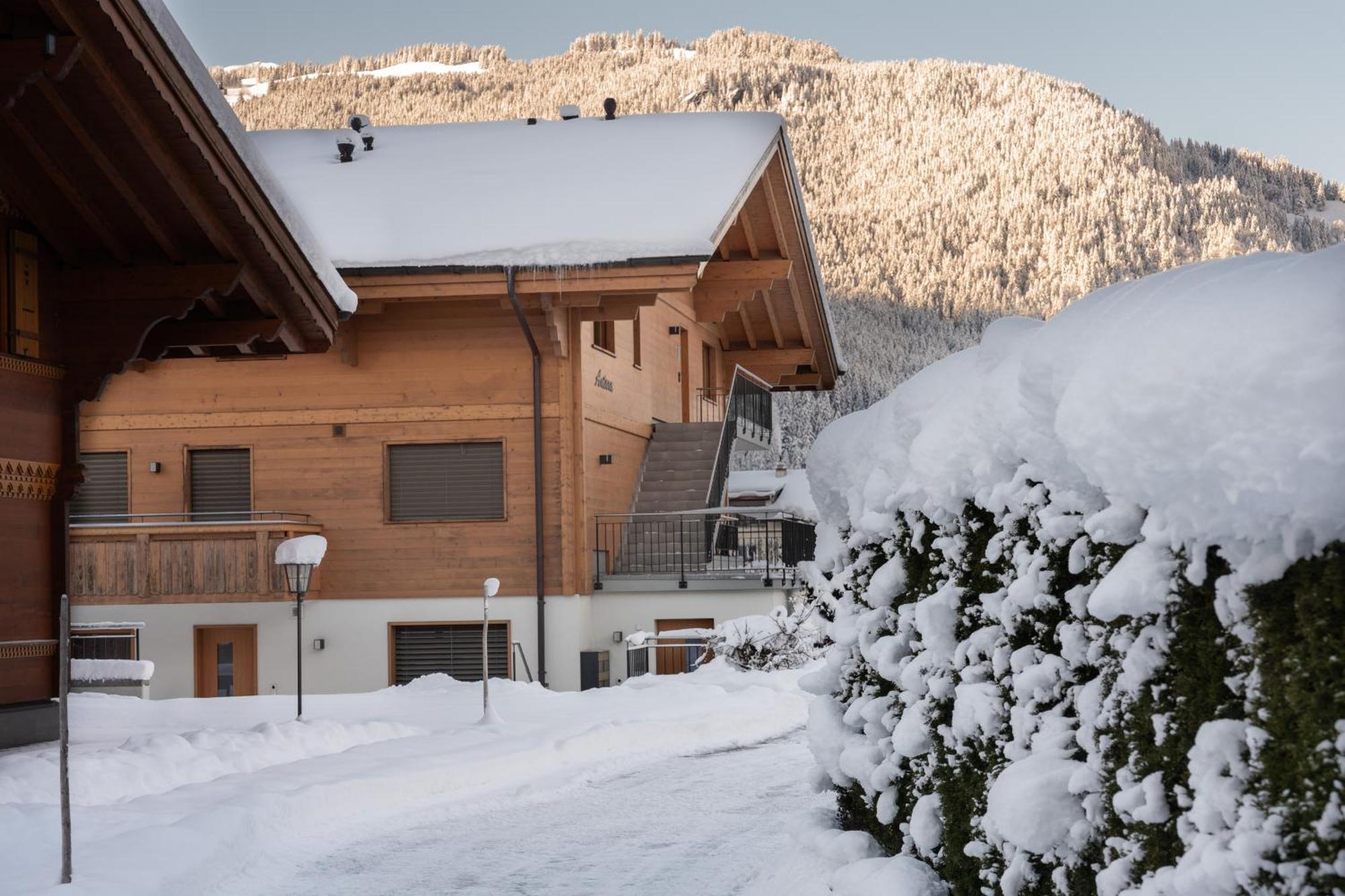 Chalet Alia And Apartments-Grindelwald By Swiss Hotel Apartments Exterior photo