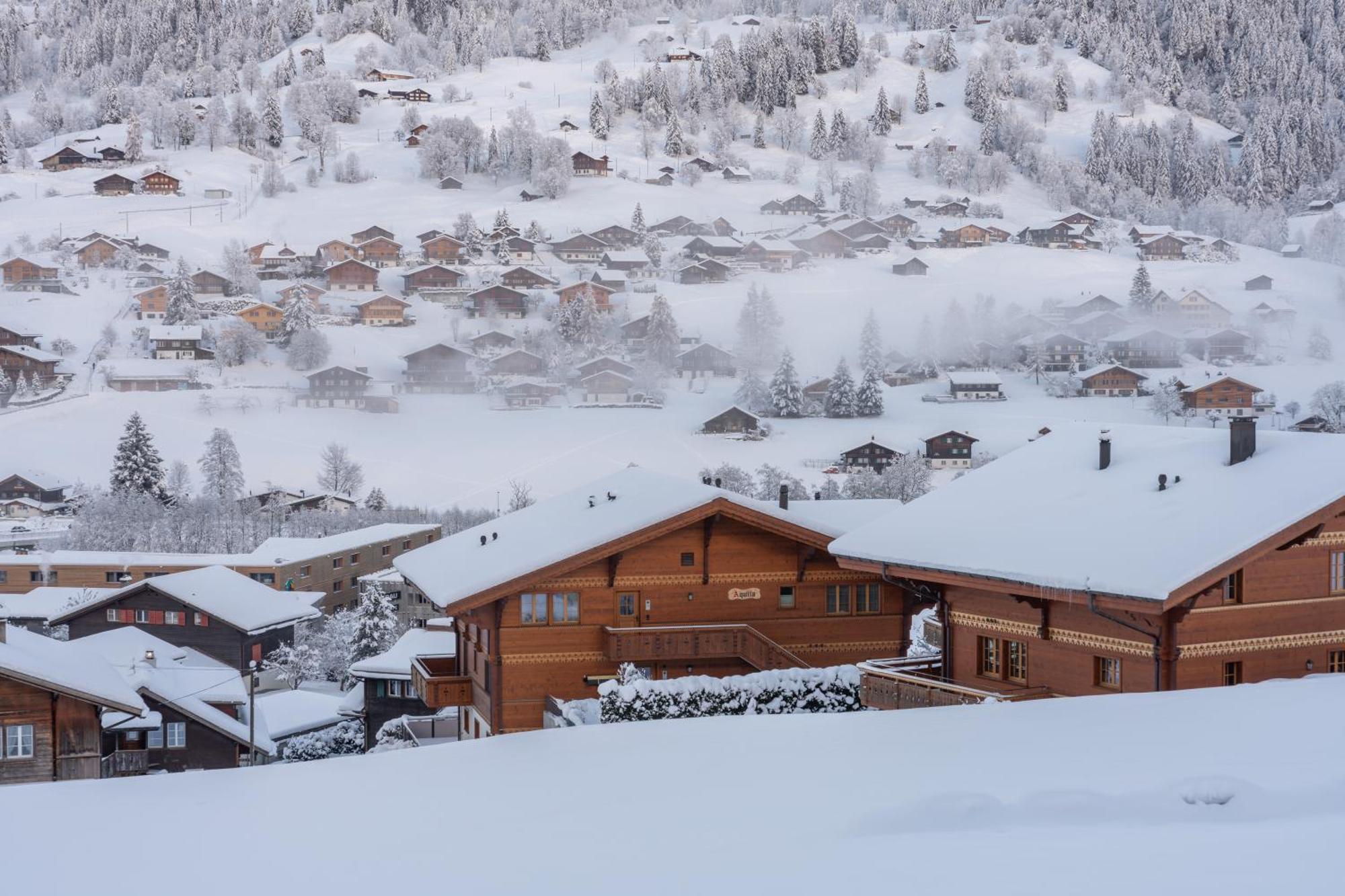 Chalet Alia And Apartments-Grindelwald By Swiss Hotel Apartments Exterior photo