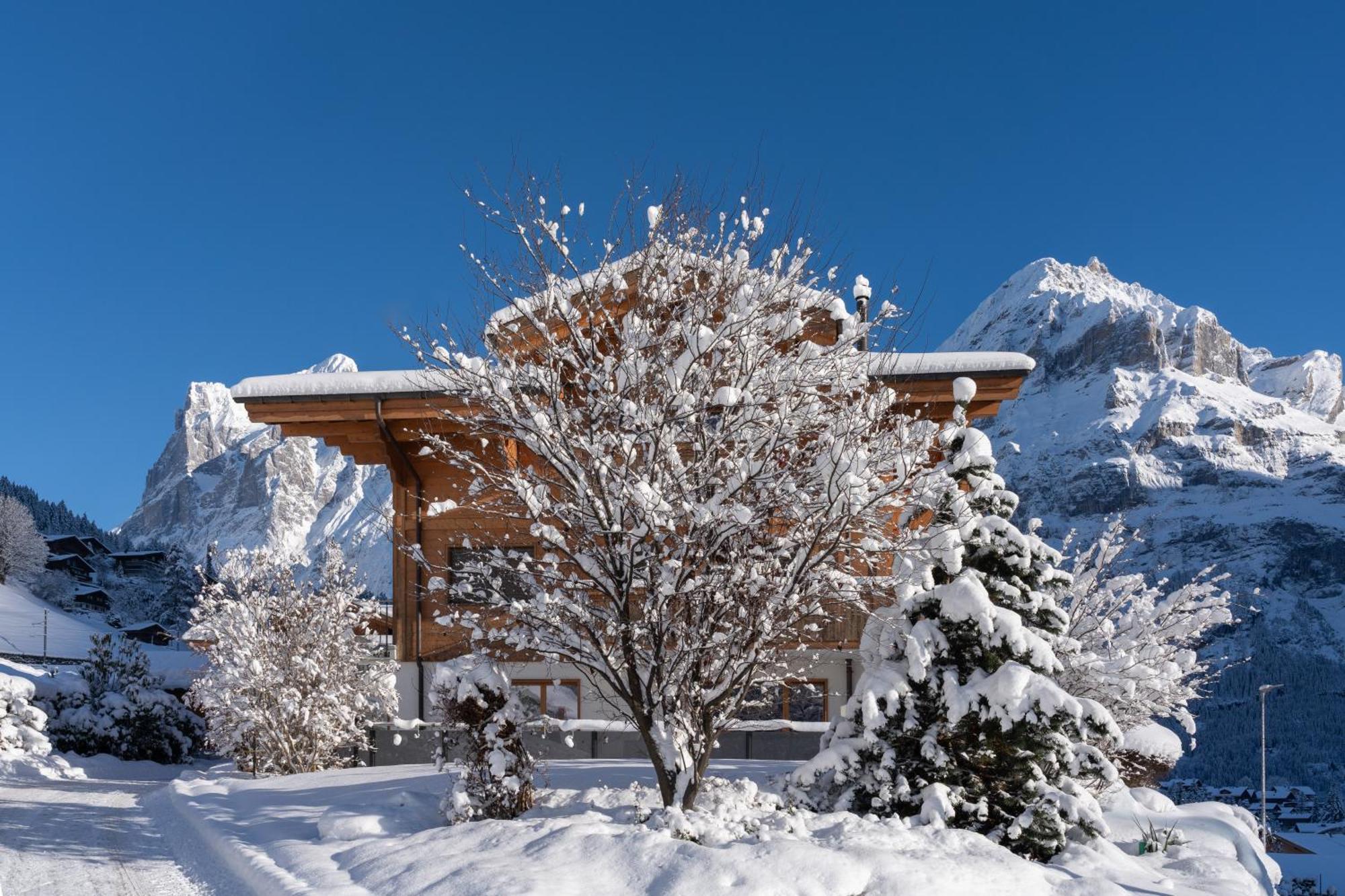 Chalet Alia And Apartments-Grindelwald By Swiss Hotel Apartments Exterior photo