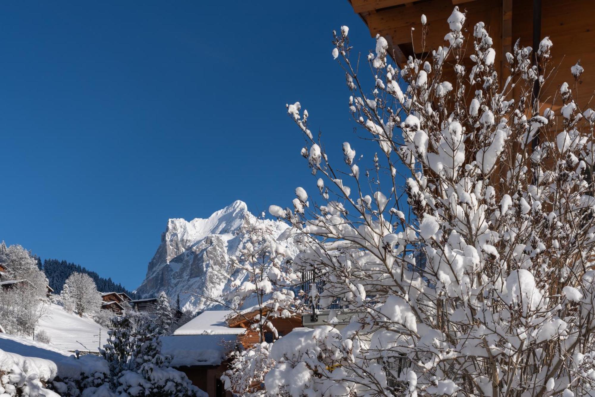 Chalet Alia And Apartments-Grindelwald By Swiss Hotel Apartments Exterior photo